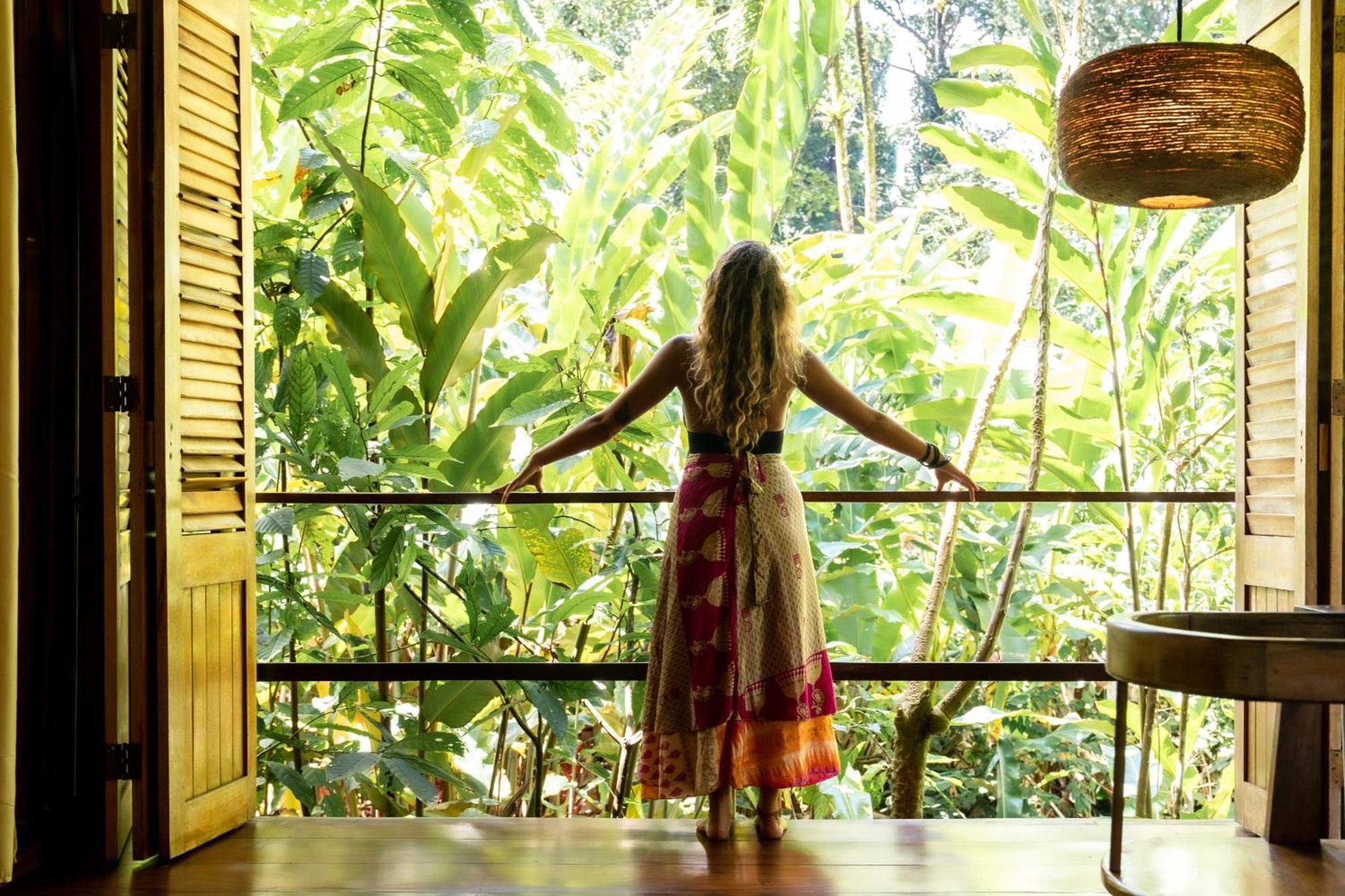 La Loma Jungle Lodge And Chocolate Farm Bocas del Toro Eksteriør billede